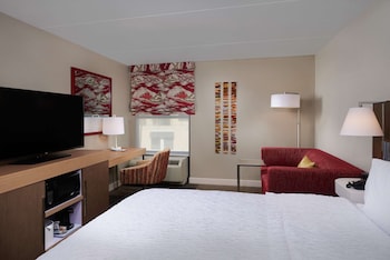 Room, 1 King Bed with Sofa bed, Accessible, Bathtub