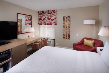 Studio, 1 King Bed, Accessible (Roll-In Shower)