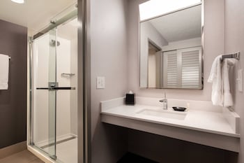 Suite, 1 King Bed