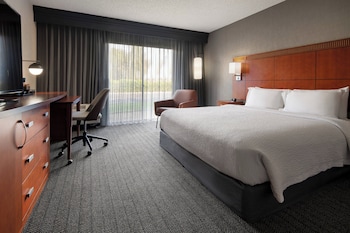 Suite, 1 King Bed