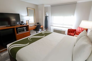 Room, 1 King Bed, Accessible, Non Smoking
