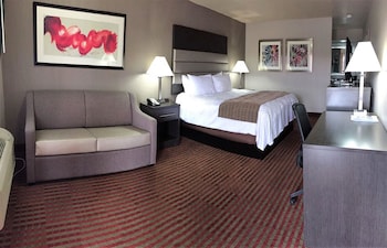 Standard Room, 1 King Bed with Sofa bed, Accessible, Non Smoking (with Sofabed)