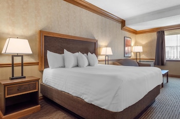 Standard Room, 1 King Bed, Non Smoking, Fireplace