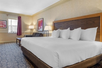 Standard Room, 1 King Bed, Non Smoking, Refrigerator & Microwave