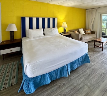 Standard Room, 1 King Bed with Sofa bed