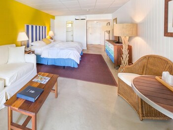 Standard Room, 1 King Bed with Sofa bed