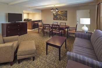 Suite, 1 King Bed with Sofa bed, Non Smoking