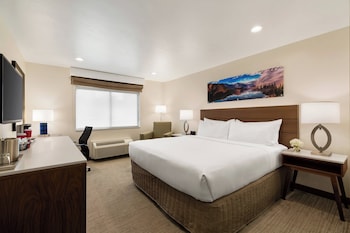 Room, 1 King Bed