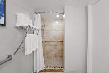 Standard Room, 1 King Bed, Accessible (Mobility, Roll-In Shower)
