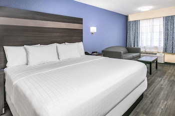 Room, 1 King Bed, Non Smoking