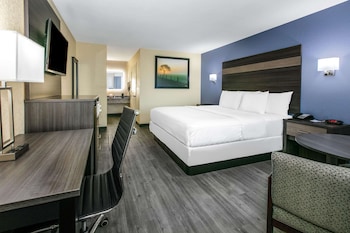 Room, 1 King Bed, Accessible, Non Smoking (Mobility, Roll-In-Shower)