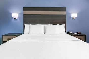 Room, 1 King Bed, Accessible, Non Smoking (Mobility, Roll-In-Shower)