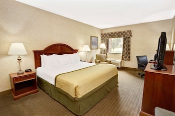 Standard Room, 1 King Bed, Accessible, Non Smoking