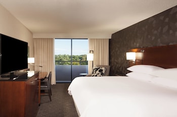 Room, 1 King Bed (High Floor)