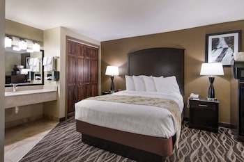 Standard Room, 1 Queen Bed, Non Smoking, Microwave