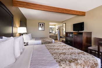 Standard Room, 2 Queen Beds, Non Smoking, Microwave (Oversized Room;Third bed is a Sofabed)