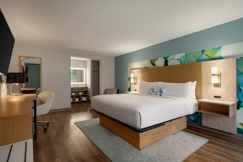 Room, 1 King Bed, Non Smoking, Pool View