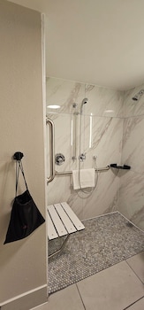 Room, 1 King Bed, Accessible, Non Smoking (Mobility, Roll-In Shower)