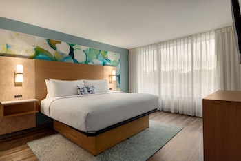 Studio Suite, 1 King Bed, Non Smoking
