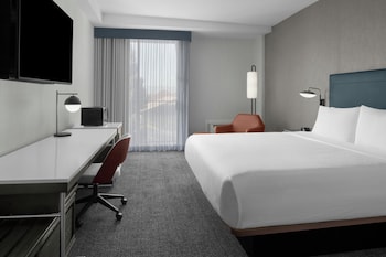 Room, 1 King Bed, Hearing Accessible (Roll-in Shower)