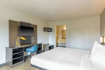 Standard Room, 1 King Bed, Non Smoking