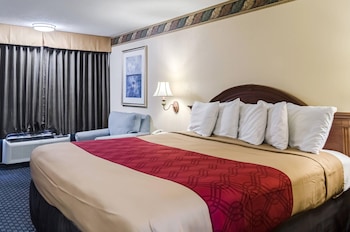 Room, 1 King Bed, Accessible, Non Smoking