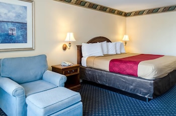 Standard Room, 1 King Bed, Non Smoking