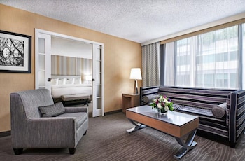 Deluxe Suite, 1 King Bed (King)