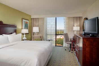 Room, 1 King Bed (Mobility/Hearing Access, Roll-In Shwr)