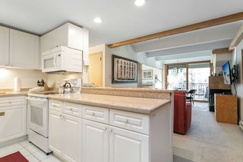 Condo (Platinum Studio)