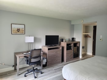 Standard Room, 1 King Bed with Sofa bed