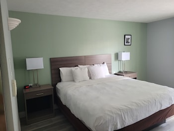 Standard Room, 1 King Bed with Sofa bed