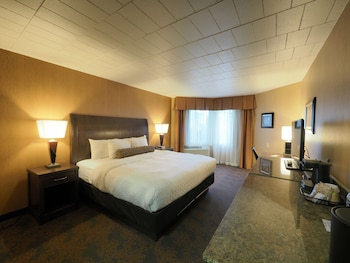 Room, 1 King Bed