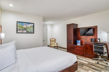 Room, 1 King Bed