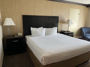 Room, 1 King Bed (Spacious)