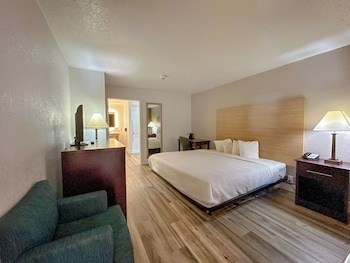 Room, 1 King Bed, Accessible