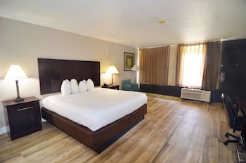 Room, 1 King Bed