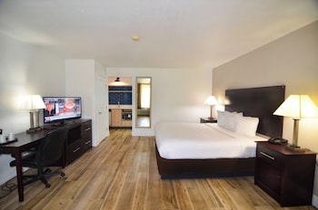 Room, 1 King Bed