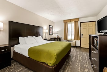 Room, 1 King Bed, Non Smoking