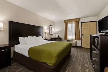 Room, 1 King Bed, Non Smoking