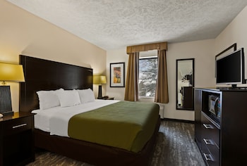 Room, 1 King Bed, Non Smoking