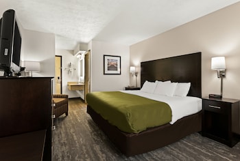 Room, 1 King Bed, Non Smoking
