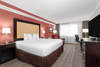 Room, 1 King Bed, Non Smoking