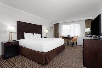 Room, 1 King Bed, Accessible, Non Smoking (Mobility, Roll-in Shower)