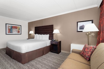 Deluxe Room, 1 King Bed, Non Smoking