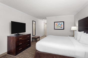 Room, 1 King Bed, Accessible, Non Smoking (Mobility, Roll-in Shower)