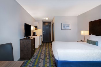 Room, 1 Queen Bed, Non Smoking (Efficiency)