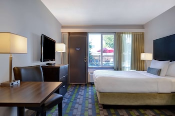 Superior Room, 1 Queen Bed, Non Smoking, Pool View