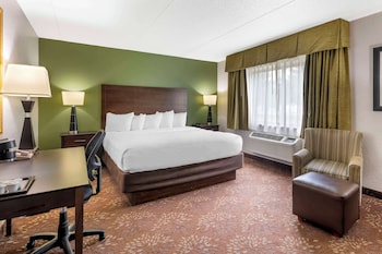 Standard Room, 1 King Bed, Accessible, Non Smoking (Walk-in Shower)