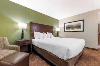 Standard Room, 1 King Bed, Accessible, Non Smoking (Walk-in Shower)